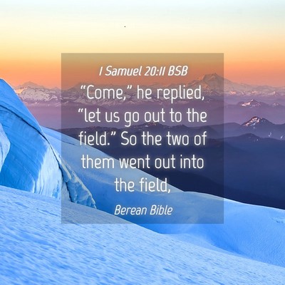 Picture 04 - 1 Samuel 20:11 BSB - “Come,” he replied, “let us go out to the - Bible Verse Picture