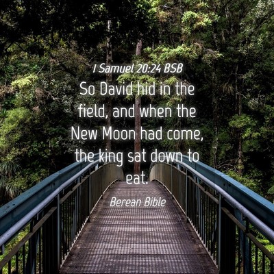 Picture 04 - 1 Samuel 20:24 BSB - So David hid in the field, and when the New Moon - Bible Verse Picture