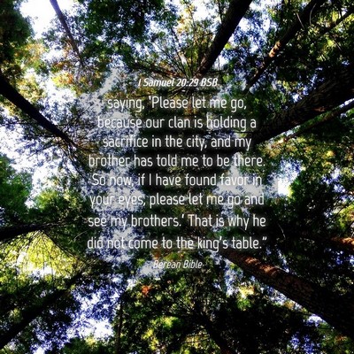 Picture 04 - 1 Samuel 20:29 BSB - saying, ‘Please let me go, because our clan is - Bible Verse Picture