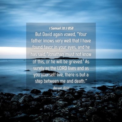 Picture 04 - 1 Samuel 20:3 BSB - But David again vowed, “Your father knows very - Bible Verse Picture