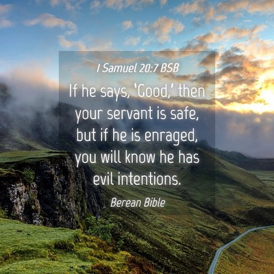 Picture 04 - 1 Samuel 20:7 BSB - If he says, ‘Good,’ then your servant is - Bible Verse Picture