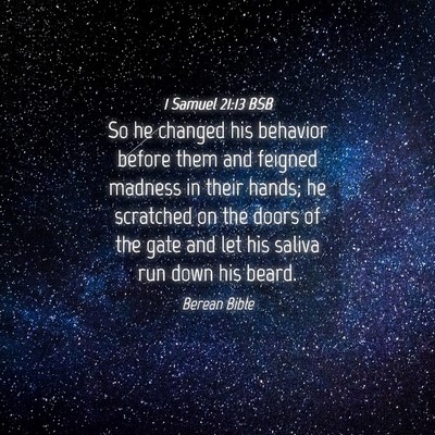 Picture 04 - 1 Samuel 21:13 BSB - So he changed his behavior before them and - Bible Verse Picture