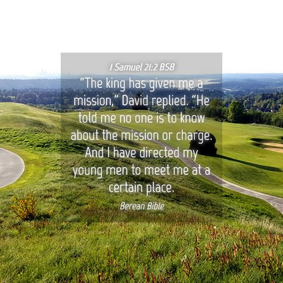 Picture 04 - 1 Samuel 21:2 BSB - “The king has given me a mission,” David - Bible Verse Picture