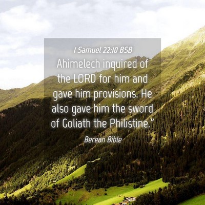 Picture 04 - 1 Samuel 22:10 BSB - Ahimelech inquired of the LORD for him and gave - Bible Verse Picture