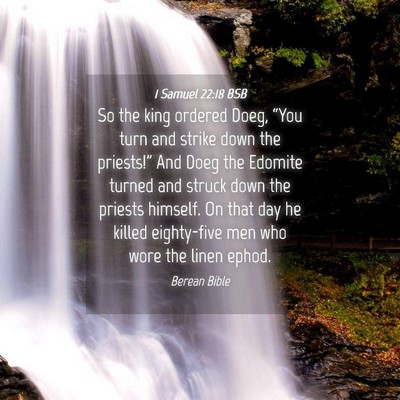 Picture 04 - 1 Samuel 22:18 BSB - So the king ordered Doeg, “You turn and strike - Bible Verse Picture