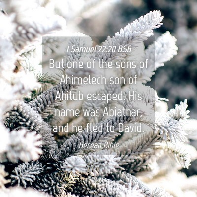Picture 04 - 1 Samuel 22:20 BSB - But one of the sons of Ahimelech son of Ahitub - Bible Verse Picture