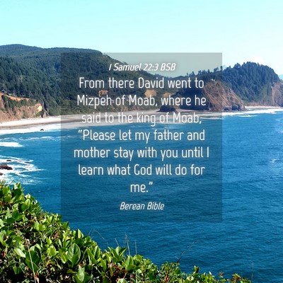 Picture 04 - 1 Samuel 22:3 BSB - From there David went to Mizpeh of Moab, where he - Bible Verse Picture