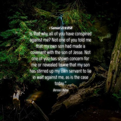 Picture 04 - 1 Samuel 22:8 BSB - Is that why all of you have conspired against me? - Bible Verse Picture