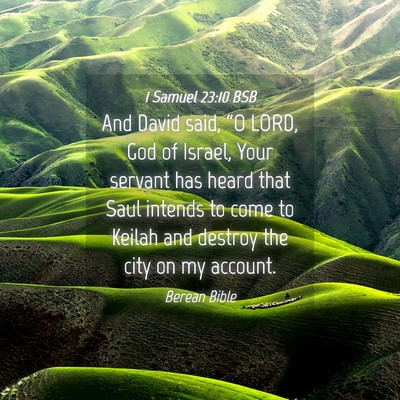 Picture 04 - 1 Samuel 23:10 BSB - And David said, “O LORD, God of Israel, Your - Bible Verse Picture