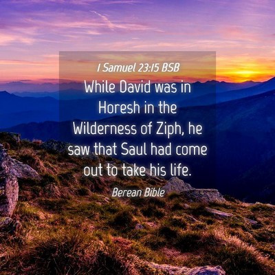 Picture 04 - 1 Samuel 23:15 BSB - While David was in Horesh in the Wilderness of - Bible Verse Picture