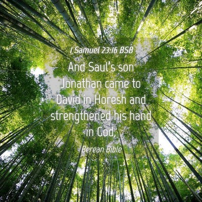 Picture 04 - 1 Samuel 23:16 BSB - And Saul’s son Jonathan came to David in Horesh - Bible Verse Picture