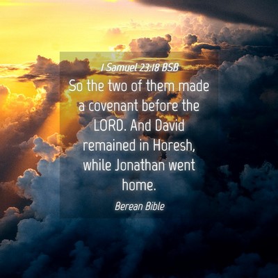 Picture 04 - 1 Samuel 23:18 BSB - So the two of them made a covenant before the - Bible Verse Picture