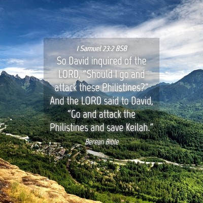 Picture 04 - 1 Samuel 23:2 BSB - So David inquired of the LORD, “Should I go and - Bible Verse Picture