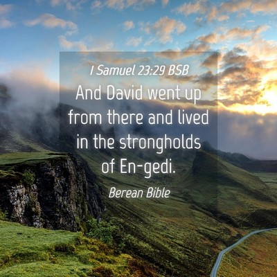 Picture 04 - 1 Samuel 23:29 BSB - And David went up from there and lived in the - Bible Verse Picture