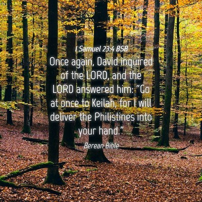 Picture 04 - 1 Samuel 23:4 BSB - Once again, David inquired of the LORD, and the - Bible Verse Picture