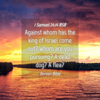 Picture 04 - 1 Samuel 24:14 BSB - Against whom has the king of Israel come out? - Bible Verse Picture