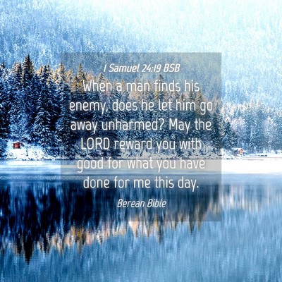 Picture 04 - 1 Samuel 24:19 BSB - When a man finds his enemy, does he let him go - Bible Verse Picture