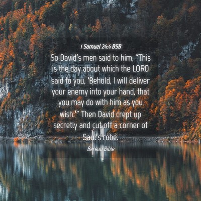 Picture 04 - 1 Samuel 24:4 BSB - So David’s men said to him, “This is the day - Bible Verse Picture