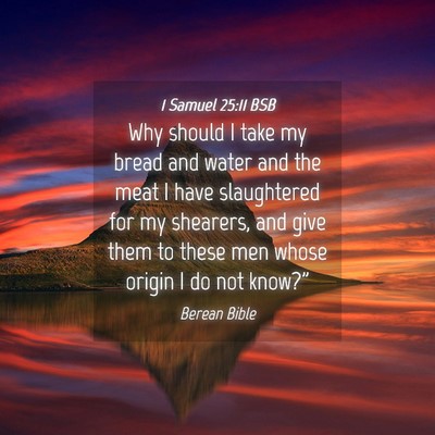 Picture 04 - 1 Samuel 25:11 BSB - Why should I take my bread and water and the meat - Bible Verse Picture