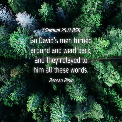 Picture 04 - 1 Samuel 25:12 BSB - So David’s men turned around and went back, and - Bible Verse Picture