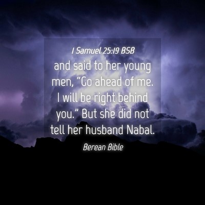 Picture 04 - 1 Samuel 25:19 BSB - and said to her young men, “Go ahead of me. I - Bible Verse Picture