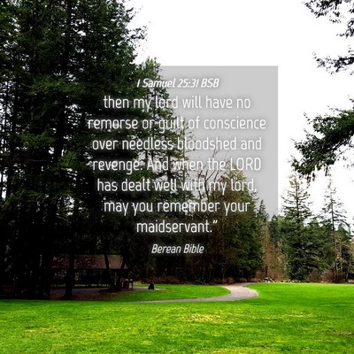 Picture 04 - 1 Samuel 25:31 BSB - then my lord will have no remorse or guilt of - Bible Verse Picture