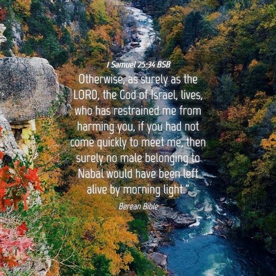 Picture 04 - 1 Samuel 25:34 BSB - Otherwise, as surely as the LORD, the God of - Bible Verse Picture