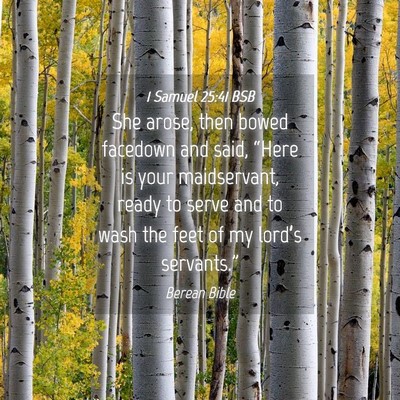 Picture 04 - 1 Samuel 25:41 BSB - She arose, then bowed facedown and said, “Here - Bible Verse Picture