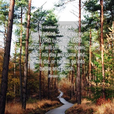 Picture 04 - 1 Samuel 26:10 BSB - David added, “As surely as the LORD lives, the - Bible Verse Picture