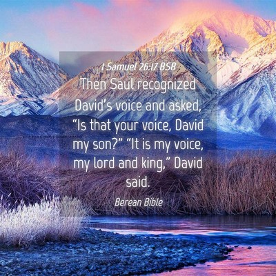 Picture 04 - 1 Samuel 26:17 BSB - Then Saul recognized David’s voice and asked, - Bible Verse Picture