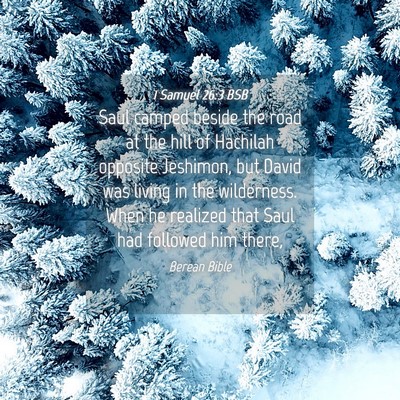Picture 04 - 1 Samuel 26:3 BSB - Saul camped beside the road at the hill of - Bible Verse Picture