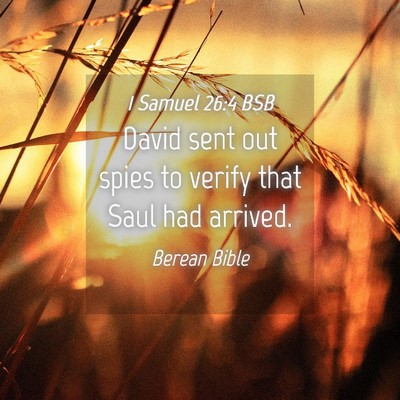 Picture 04 - 1 Samuel 26:4 BSB - David sent out spies to verify that Saul had - Bible Verse Picture