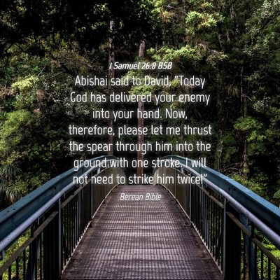 Picture 04 - 1 Samuel 26:8 BSB - Abishai said to David, “Today God has delivered - Bible Verse Picture