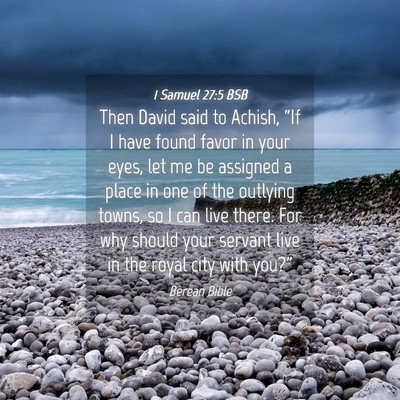 Picture 04 - 1 Samuel 27:5 BSB - Then David said to Achish, “If I have found - Bible Verse Picture