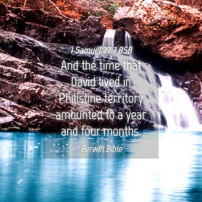 Picture 04 - 1 Samuel 27:7 BSB - And the time that David lived in Philistine - Bible Verse Picture