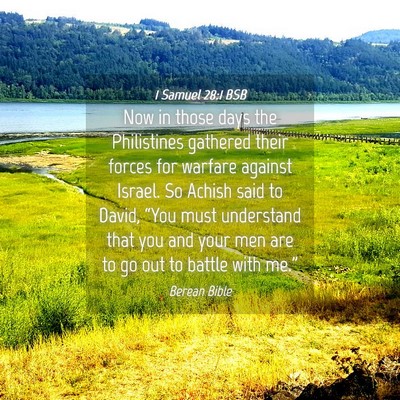 Picture 04 - 1 Samuel 28:1 BSB - Now in those days the Philistines gathered their - Bible Verse Picture