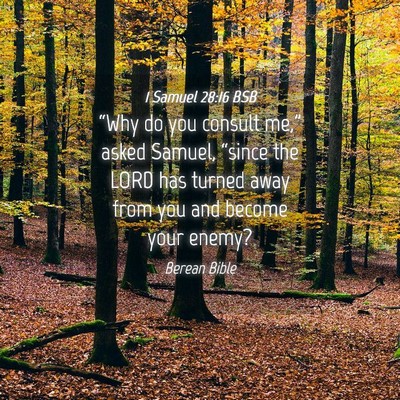 Picture 04 - 1 Samuel 28:16 BSB - “Why do you consult me,” asked Samuel, - Bible Verse Picture
