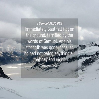 Picture 04 - 1 Samuel 28:20 BSB - Immediately Saul fell flat on the ground, - Bible Verse Picture