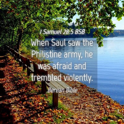 Picture 04 - 1 Samuel 28:5 BSB - When Saul saw the Philistine army, he was afraid - Bible Verse Picture