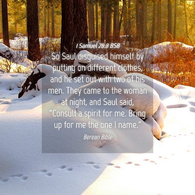 Picture 04 - 1 Samuel 28:8 BSB - So Saul disguised himself by putting on different - Bible Verse Picture