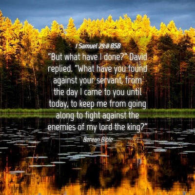 Picture 04 - 1 Samuel 29:8 BSB - “But what have I done?” David replied. - Bible Verse Picture