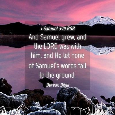 Picture 04 - 1 Samuel 3:19 BSB - And Samuel grew, and the LORD was with him, and - Bible Verse Picture