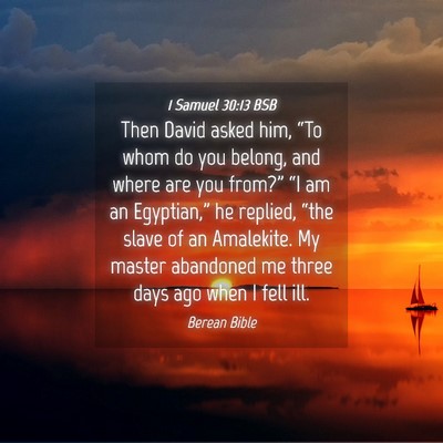 Picture 04 - 1 Samuel 30:13 BSB - Then David asked him, “To whom do you belong, - Bible Verse Picture