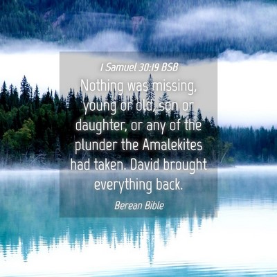 Picture 04 - 1 Samuel 30:19 BSB - Nothing was missing, young or old, son or - Bible Verse Picture