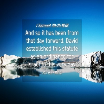Picture 04 - 1 Samuel 30:25 BSB - And so it has been from that day forward. David - Bible Verse Picture