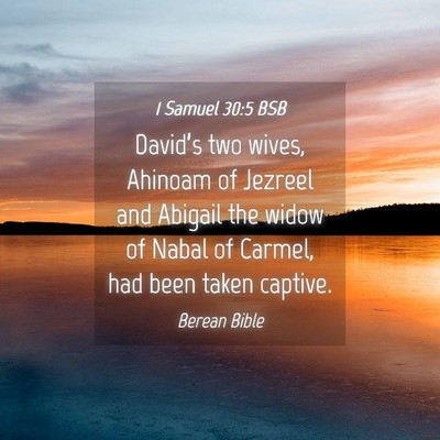 Picture 04 - 1 Samuel 30:5 BSB - David’s two wives, Ahinoam of Jezreel and - Bible Verse Picture