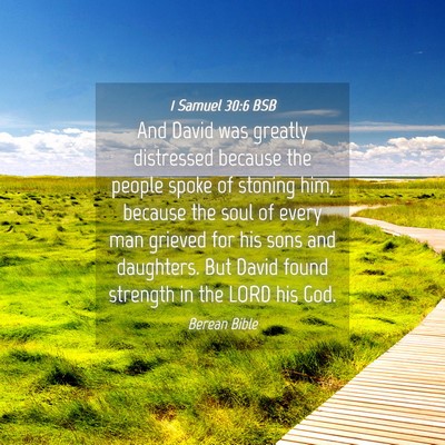 Picture 04 - 1 Samuel 30:6 BSB - And David was greatly distressed because the - Bible Verse Picture