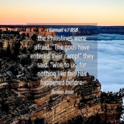 Picture 04 - 1 Samuel 4:7 BSB - the Philistines were afraid. “The gods have - Bible Verse Picture