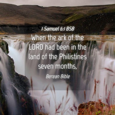 Picture 04 - 1 Samuel 6:1 BSB - When the ark of the LORD had been in the land of - Bible Verse Picture