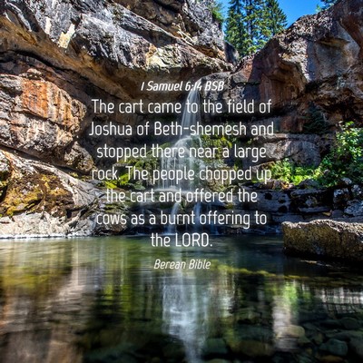 Picture 04 - 1 Samuel 6:14 BSB - The cart came to the field of Joshua of - Bible Verse Picture